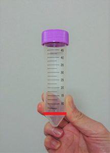 新型コロナウイルス唾液PCR検査のお知らせ